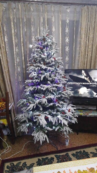 yolka qiymətləri: Yolka Holland sortlu yeni il yolkasi buna Kremlovskaya yolkada — 1