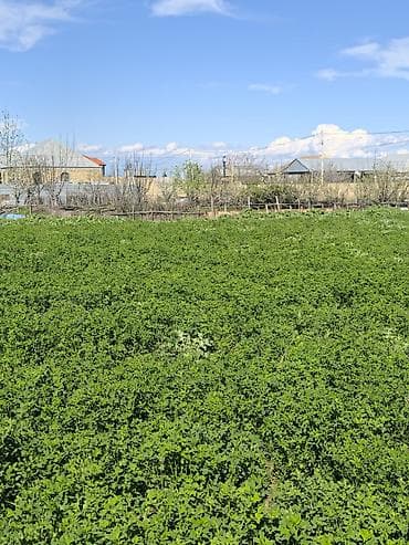 i̇smayilli kiraye evler photos: Tikinti — 4