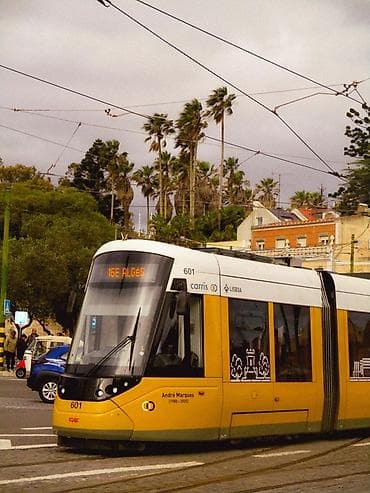 Компьютеры, ноутбуки и планшеты: Canon IXUS 185 Yaxşı vəziyyətdədir, barcelonadan vintage maqazindən — 5