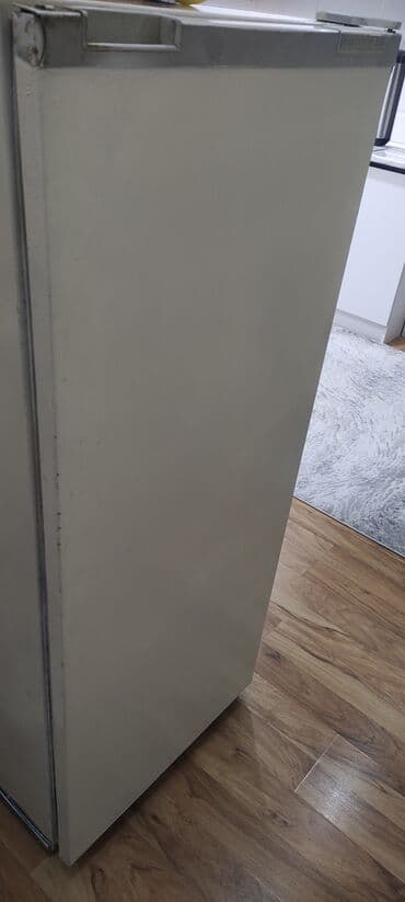 xan cinar: Çinar soyuducusu - işlək vəziyyətdədir, heç bir problemi yoxdur, tam — 3