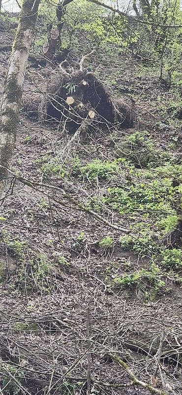 lokbatanda satilan heyet evleri: Lerik Rayon Qılqılov kəndində iki mərtəbəli rəsmi 20 sot kubçalı — 1