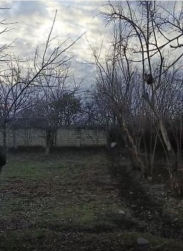 Tikinti lalafo.az -da Tikinti