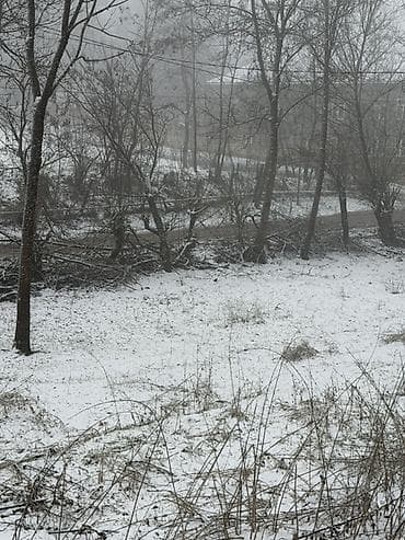 4 sot, Tikinti, Maklerlər narahat etməsin, Kupça (Çıxarış)