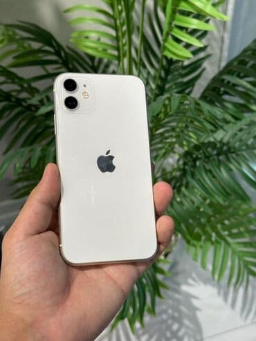 inoi 243: Inoi 100 — 1