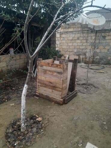 yeni bakı: Salam bele bir yuva satiram kim istese zeng etesin 1 dene krisa — 2