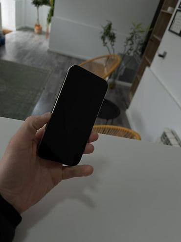 iphone 20: IPhone 16 Pro, 256 GB, Gümüşü, Simsiz şarj — 4