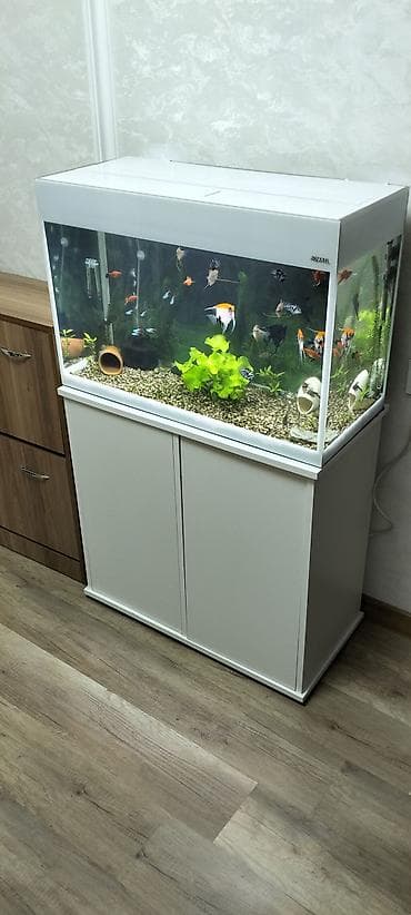 Аквариум-шкаф, Вместе с рыбами, 125 л, Самовывоз — 1