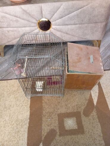 sumqayit qəfəs: Metal qəfəs, quş saxlamaq üçün nəzərdə tutulub. Qəfəsin içərisində yem — 2