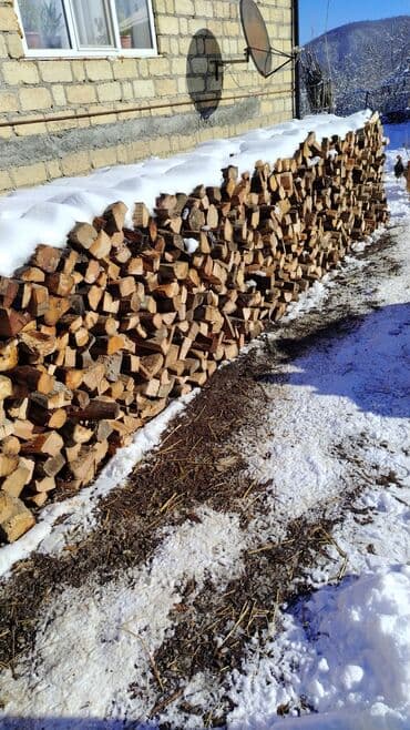 ev radiyatoru: Satdıq odun var quru odun kvadratı 15 manat isteyen olsa desin Quba — 1