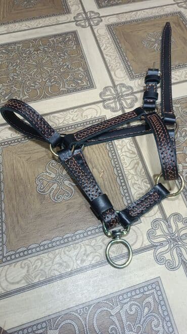 Yemlər: Atçılıq aksesuarları -noxta sifarişi verən bilərsiz Məhsullar: iki — 7