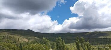 xacmaz rayonu qusarcay kendi: Tikinti, Mülkiyyətçi, Kupça (Çıxarış) — 1