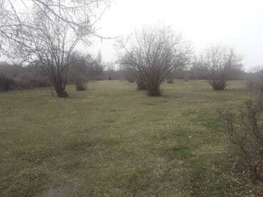 24 sot, Kənd təsərrüfatı, Mülkiyyətçi, Kupça (Çıxarış) lalafo.az -da 24 sot, Kənd təsərrüfatı, Mülkiyyətçi, Kupça (Çıxarış)