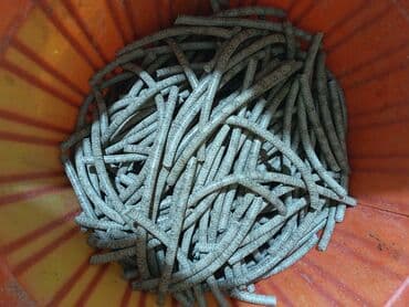 Təsvir:0.80 qəpik. Ünvandan götürmə - Təbii günəbaxan tumlarının