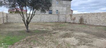 dübəndi torpaq: 6 sot, Tikinti, Makler, Kupça (Çıxarış) — 3