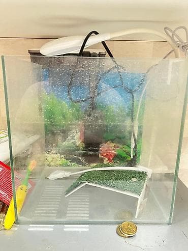 akva ayaqabılar: Balıq və su tısbağası üçün mini akvarium seti - Şüşə akvarium — 2