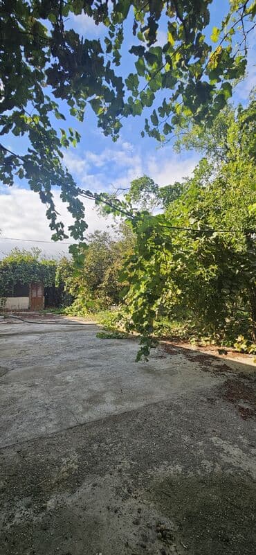 аренда продажа земельных участков: 48 sot, Kənd təsərrüfatı, Kupça (Çıxarış) — 10