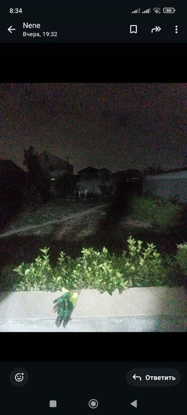 mastagada kiraye evler 2025: Kirayə üçün həyət evi - Geniş, üstüörtülü eyvan və sütunlu giriş — 1