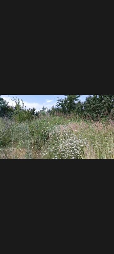 binə torpağ: 35 соток, Для сельского хозяйства, Собственник, Купчая — 3