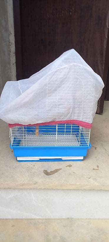 heyvan elanlari: Quş qəfəsi – aksesuarlarla birlikdə - Forma: ev tipli damlı — 3