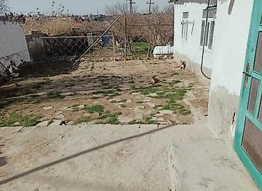 Suraxanı Studiya, 140 kv. m