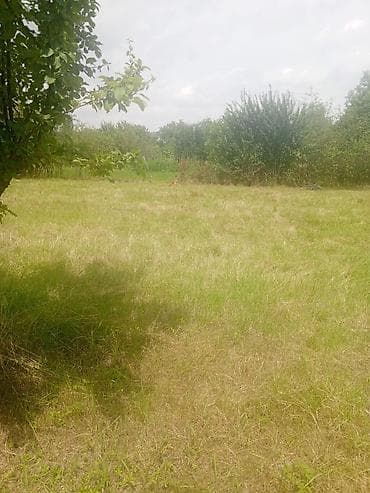 yaşmada torpaq: 16 sot, Tikinti, Mülkiyyətçi, Kupça (Çıxarış), Müqavilə — 2