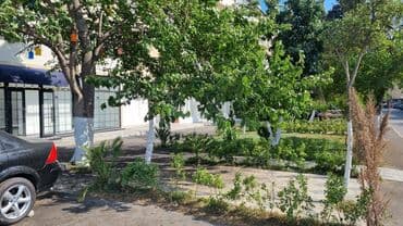 земельные участки коммерческого назначения: Şirniyyat, aptek, Karqo ofis və.s profillər üzrə yararlı. Razinde 1-ci — 10