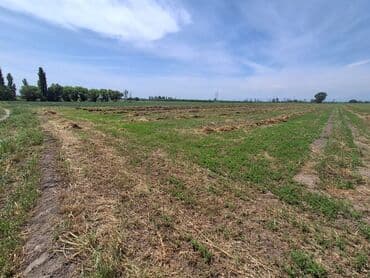 a frame evlər kirayə: 36 sot, Kənd təsərrüfatı, Barter mümkündür — 3