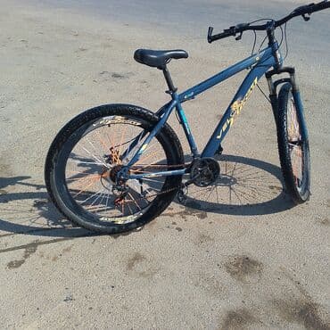 трехколесный велосипед для взрослых в баку: Velogram dağ velosipedi - Rəng: tünd mavi gövdə, sarı loqo və yazılar — 1