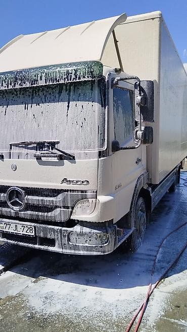 yumurta qiymeti: Təmiz qan Avstrolop yumurtasi — 2