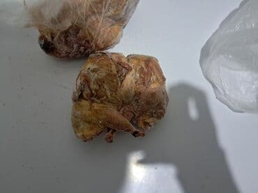 Gəmiricilər: Bildirçinlər satılır 1-i 3 manat Endirim olunacağ — 4