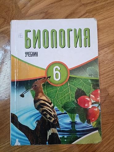 Məhsul: 6-cı sinif üçün “Biologiya” dərsliyi (rus dilində – “Биология at lalafo.az Məhsul: 6-cı sinif üçün “Biologiya” dərsliyi (rus dilində – “Биология