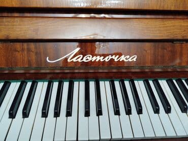 Pianolar: Pianino çox yaxşı vəziyyətdədir.Təmizdir güvəsizdir.Məndən əvvəl — 3