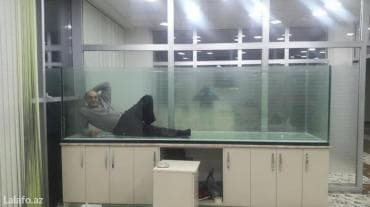 heyvanlar: Akvarium-şkaf, 1000 l — 4