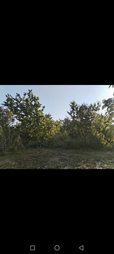 квартиры баку аренда: 24 sot, Kənd təsərrüfatı, Kupça (Çıxarış) — 3