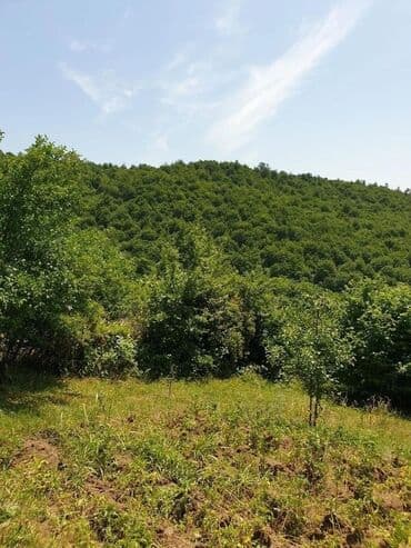 ивановка продажа домов: 4 комнаты, 200 м², Свежий ремонт — 3