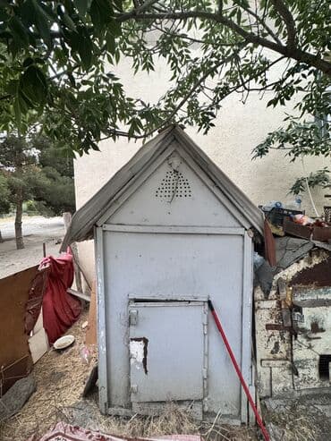 plite: Plitə Atlant, Qazlı, Ayrıca dayanan, 3 gözlü, İşlənmiş — 2