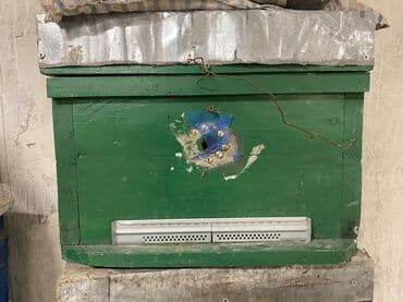 inək satışı: Arı yeşikleri
Yaxşı veziyyetdedir
Ehtiyyac olmadığı üçün satılır — 5