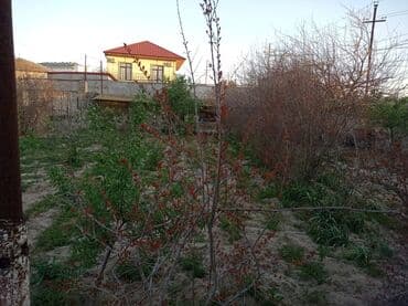 купить дачу в вишневке в баку: Дигях, 2300 м², 3 комнаты, Без бассейна, Артезианский колодец, Интернет, Электричество — 8