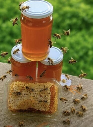 дистиллированная вода баку: Laçin bali 35 azn təmiz və zəngin vitamindən ibarət olan cökə balı — 2