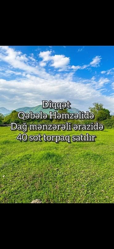 bine torpaq: 40 sot, Biznes üçün, Maklerlər narahat etməsin, Kupça (Çıxarış) — 1