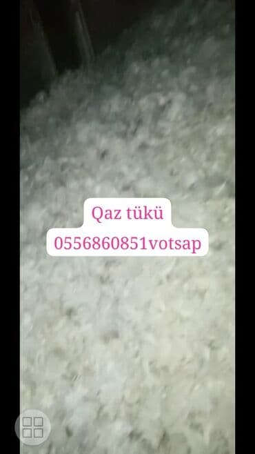 yun satışı: Yun satişi satışda yuyulmuş şamaxı yunu var qiymətlər keyfiyyətə — 7