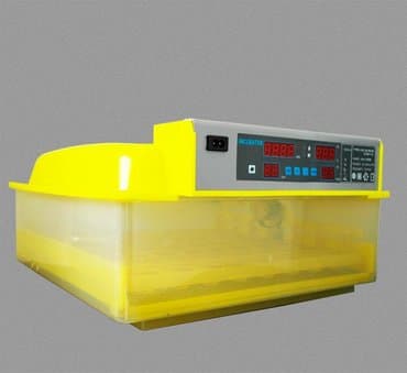 ПО для бизнеса: 50 яиц, Китай, Заводское производство, Полностью автоматическая, Для всех видов птиц at lalafo.az — 3 ПО для бизнеса: 50 яиц, Китай, Заводское производство, Полностью автоматическая, Для всех видов птиц — 3