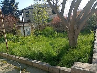 tecili satilan ucuz evler: 1 sot — 2