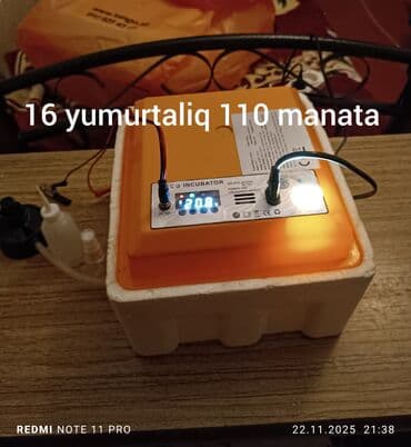 İnkubatorlar: 16liq - 110 manat 36 liq - 160 manat Real alıcıya endirim olacaq — 1