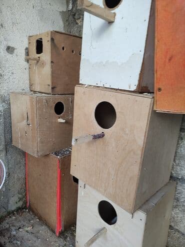 купить клетку для морской свинки: Quş qəfəsləri və aksesuarları qefesler 30-50 Azn Məhsul təsviri: - — 6