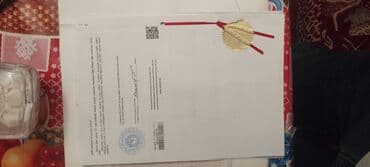 xacmaz torpaq satilir: 10 sot, Kənd təsərrüfatı, Mülkiyyətçi, Kupça (Çıxarış) — 4