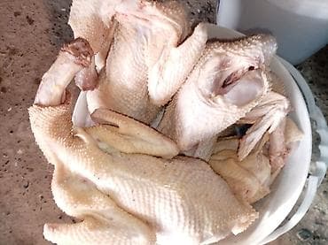 tap az at: Salam Aleykum. Sirf bu isle mesguluq her bazar gunu Bakiya gelirik — 8