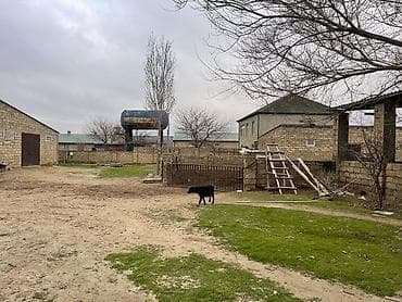 50 sot Tikinti, İşıq — 1