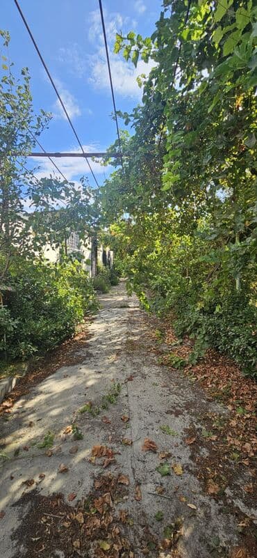 аренда продажа земельных участков: 48 sot, Kənd təsərrüfatı, Kupça (Çıxarış) — 6