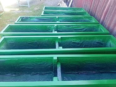 dekorativ bitkiler: Taxtalar ile ev, bağ, restoran, ofis, otel ve s. məkanlarınızın müasir — 6